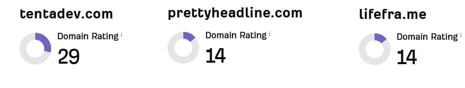 SEO journey progress chart showing domain rating growth from 0 to 29 over 2 months