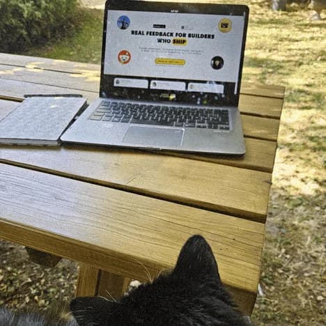 A laptop displaying Lutains while Yoanna works outside with a cat in the foreground